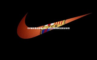 【开云官网登录入口】GIF解析泰山新援LEO，抢点型前锋的远射必杀技