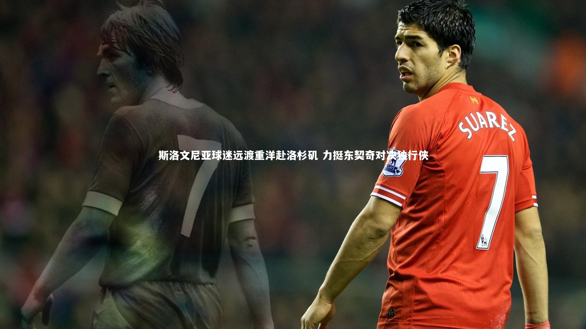 开云官网入口：斯洛文尼亚球迷远渡重洋赴洛杉矶 力挺东契奇对决独行侠-第1张图片-开云官网入口